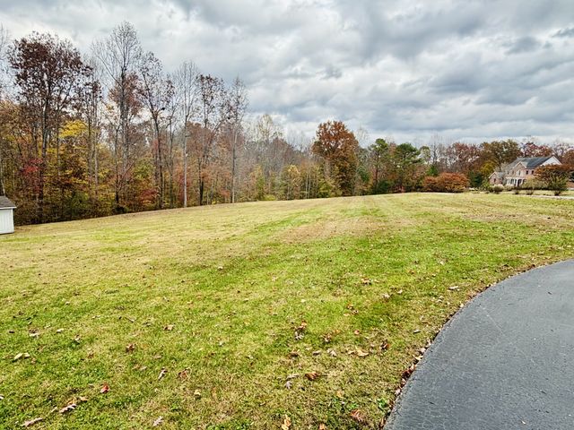 498 Dearman St, Smithville, TN 37166