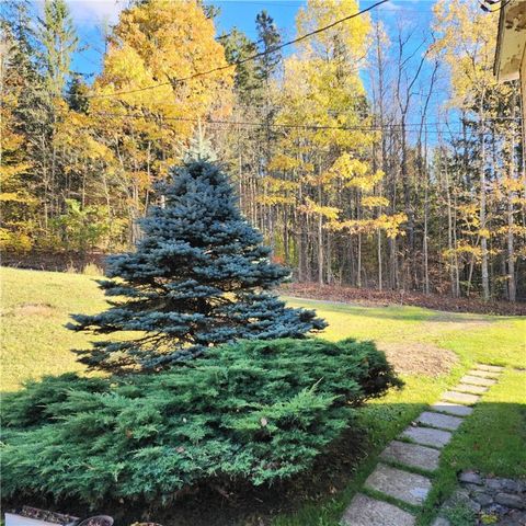 10886 Cox Road, Hornby, NY 14812