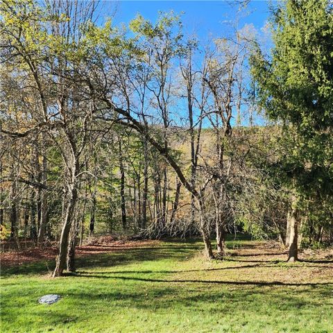 10886 Cox Road, Hornby, NY 14812