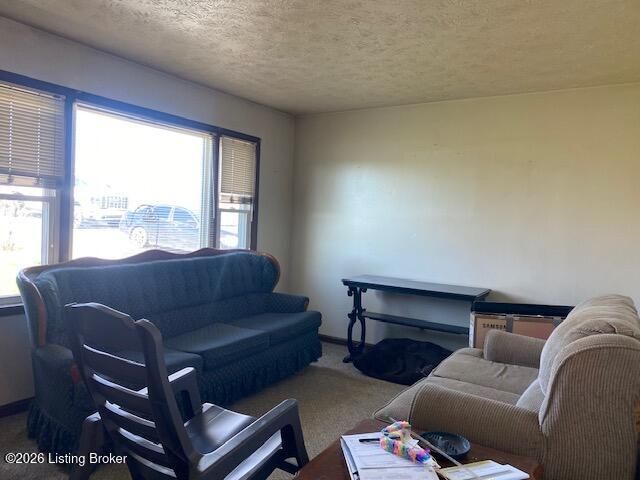 3765 Holy Cross Rd, Loretto, KY 40037