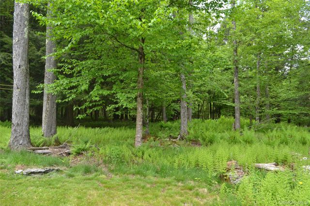 113 Lake Muskoday Road, Roscoe, NY 12776