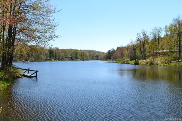 113 Lake Muskoday Road, Roscoe, NY 12776