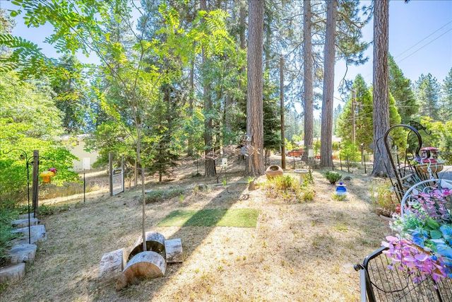 4375 Harness Tract Rd, Camino, CA 95709