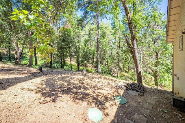 4375 Harness Tract Rd, Camino, CA 95709