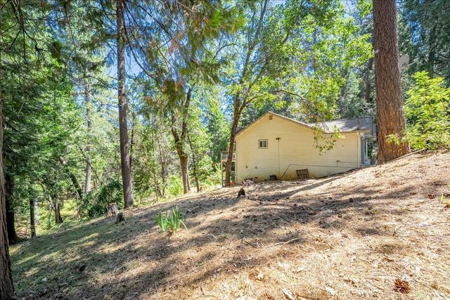 4375 Harness Tract Rd, Camino, CA 95709