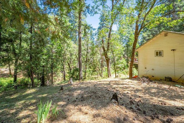 4375 Harness Tract Rd, Camino, CA 95709