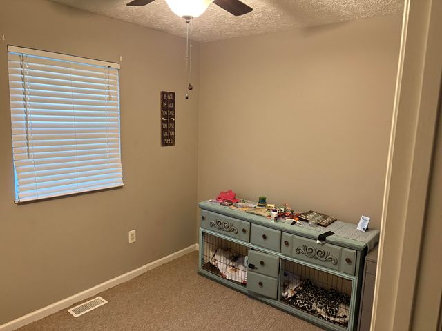 615 Igo Ridge Road, Wellington, KY 40387