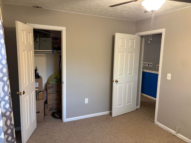 615 Igo Ridge Road, Wellington, KY 40387