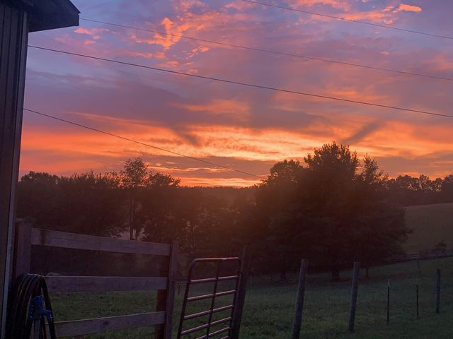 615 Igo Ridge Road, Wellington, KY 40387