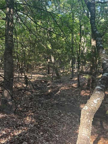 TBD Woodland Estates Road, Terrell, TX 75160
