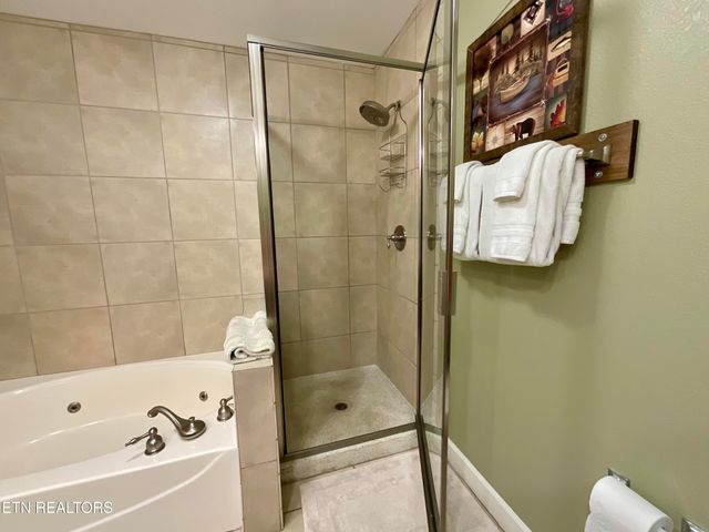 124 Plaza Drive 5402, Pigeon Forge, TN 37863