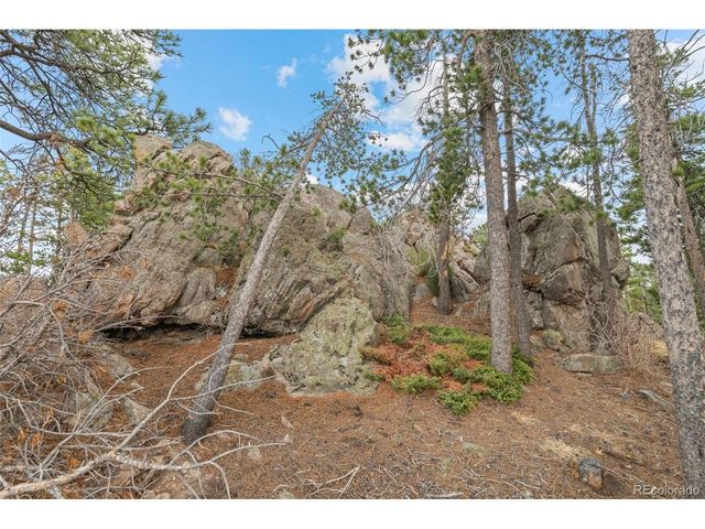 10157 Horizon View Dr, Morrison, CO 80465