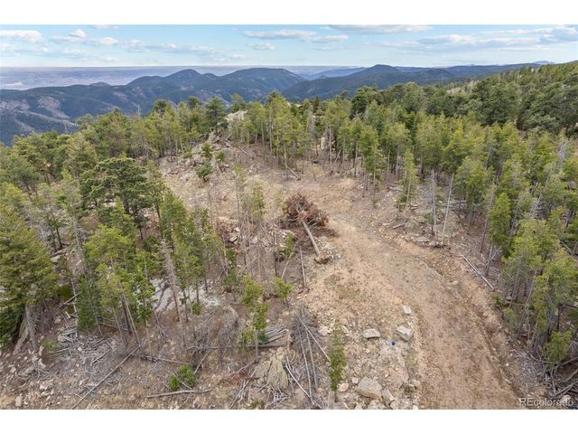 10157 Horizon View Dr, Morrison, CO 80465