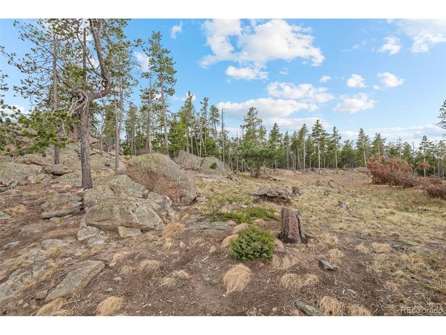 10157 Horizon View Dr, Morrison, CO 80465