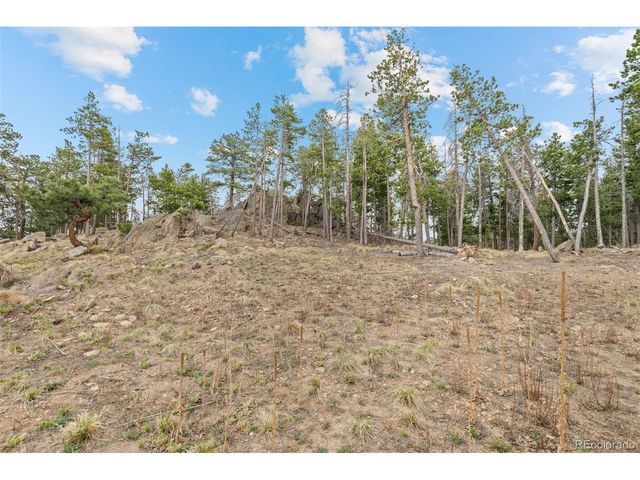 10157 Horizon View Dr, Morrison, CO 80465