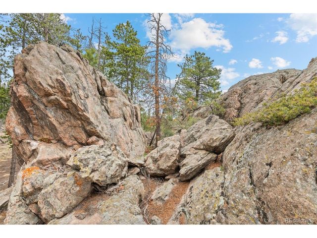 10157 Horizon View Dr, Morrison, CO 80465