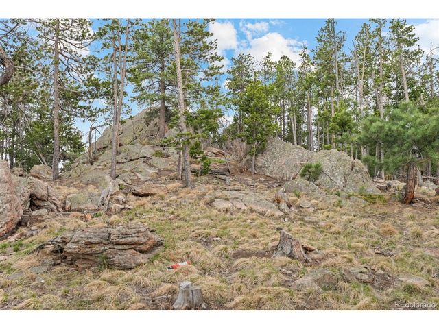 10157 Horizon View Dr, Morrison, CO 80465
