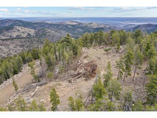 10157 Horizon View Dr, Morrison, CO 80465