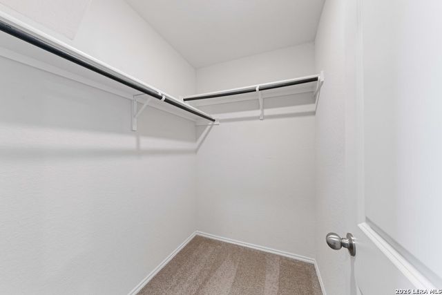 1035 Western Whipbird, San Antonio, TX 78253