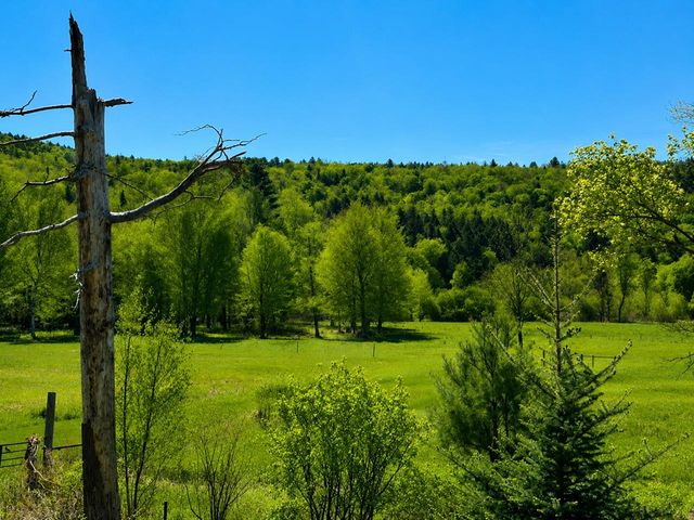 67 Worcester Village Road, Worcester, VT 05682
