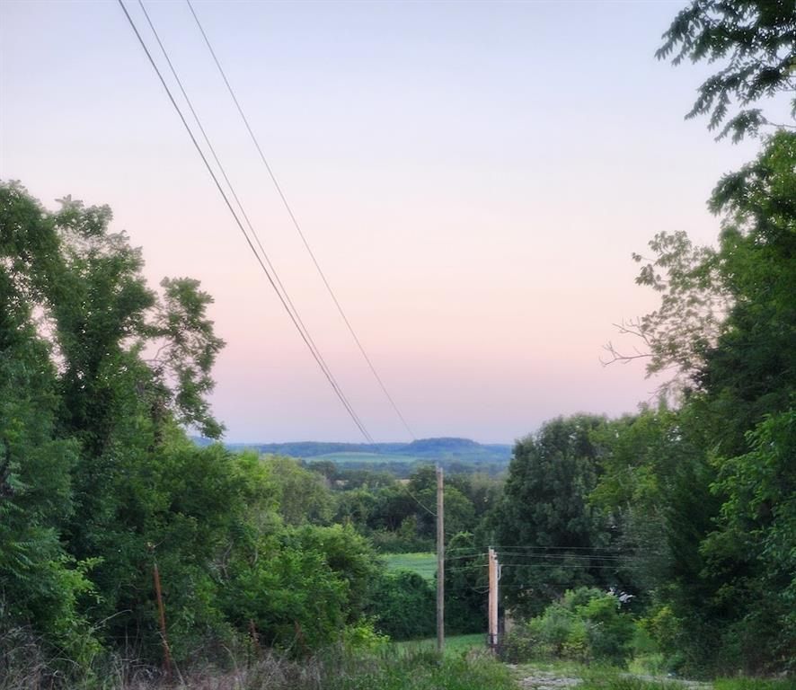 10902 E 301st Street, Drexel, MO 64742