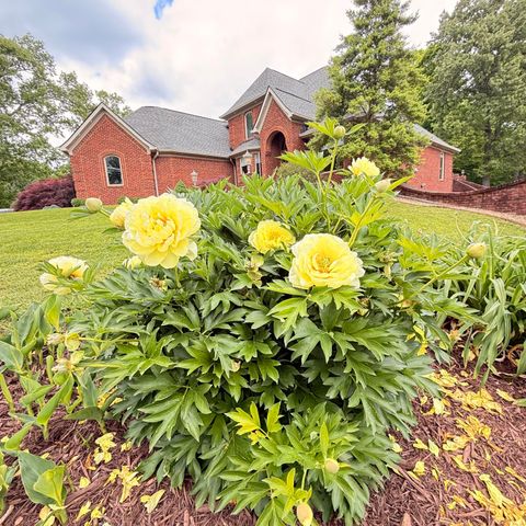 1836 Ferry Road, Somerset, KY 42503