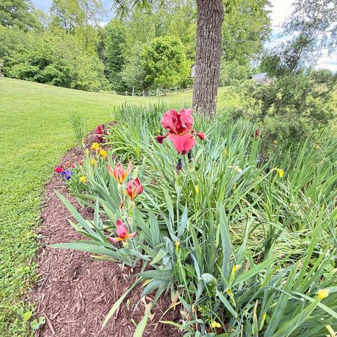 1836 Ferry Road, Somerset, KY 42503
