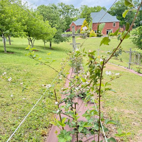 1836 Ferry Road, Somerset, KY 42503