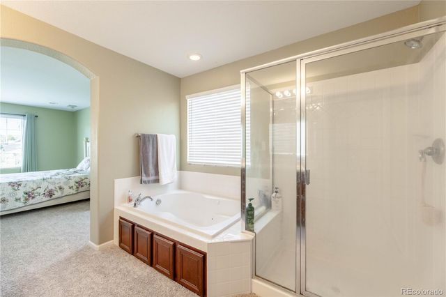 4262 Abstract Street, Castle Rock, CO 80109
