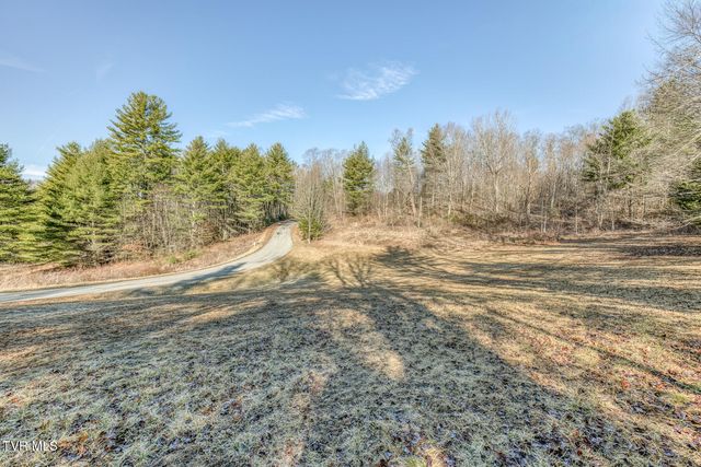 1105 Laurelwood Lane, Mountain City, TN 37683