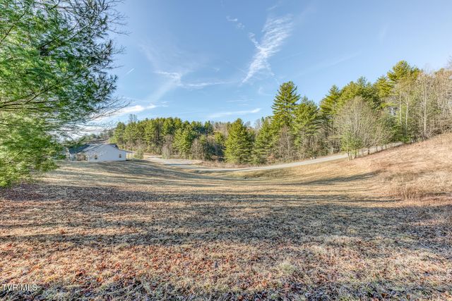 1105 Laurelwood Lane, Mountain City, TN 37683