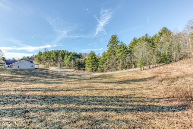 1105 Laurelwood Lane, Mountain City, TN 37683