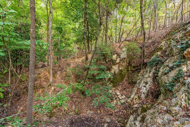 268 Ramble Street, Hot Springs, AR 71901