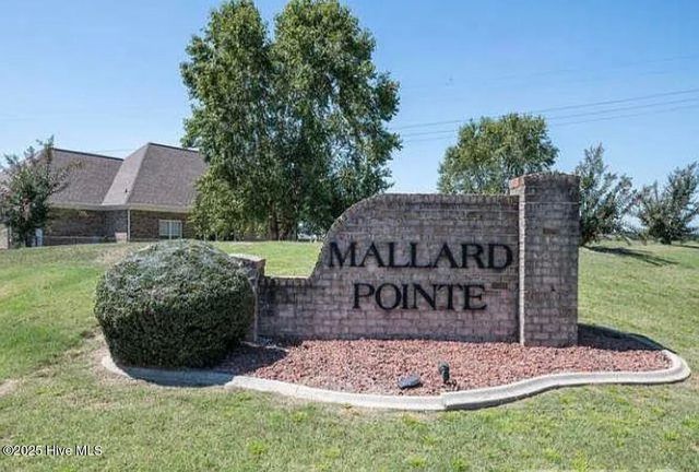 208 S Merganser Drive, Pikeville, NC 27863