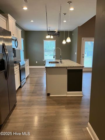 208 S Merganser Drive, Pikeville, NC 27863