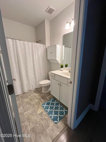 208 S Merganser Drive, Pikeville, NC 27863