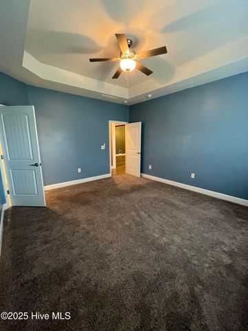 208 S Merganser Drive, Pikeville, NC 27863