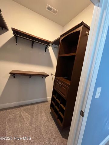 208 S Merganser Drive, Pikeville, NC 27863