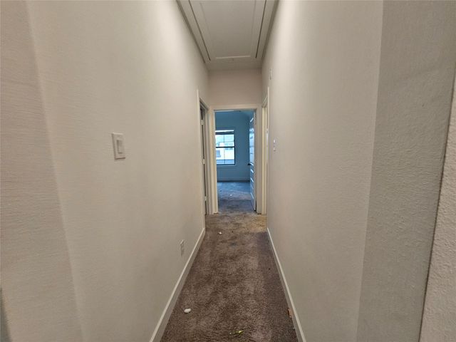 3141 Stingray Cove Drive, Katy, TX 77493