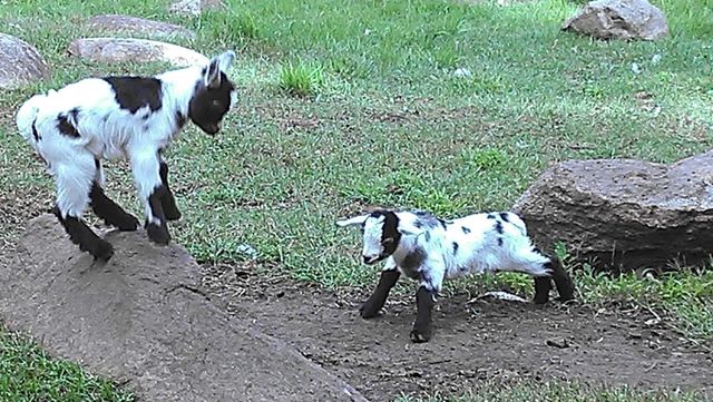 2945 County Road 4 SW 236, Cokato, MN 55321