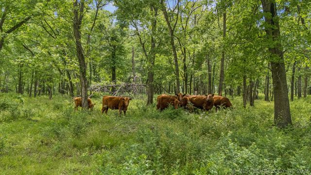 36257 S 4190 Road, Inola, OK 74036