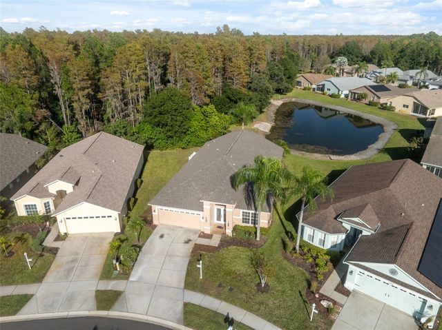 1201 DUSTAN PLACE, Trinity, FL 34655