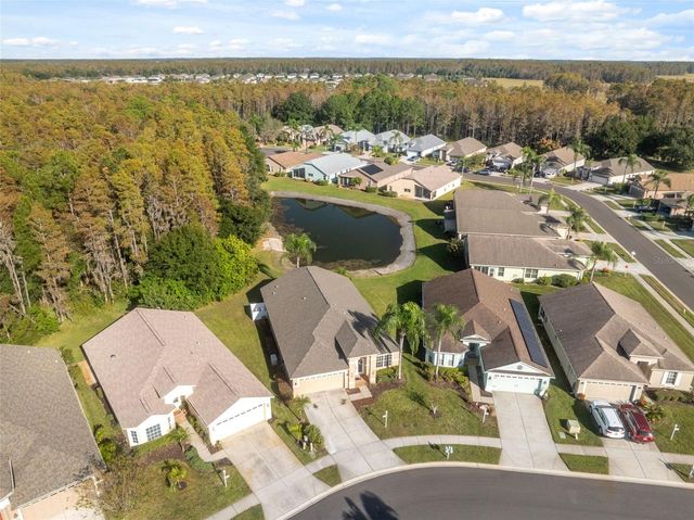 1201 DUSTAN PLACE, Trinity, FL 34655