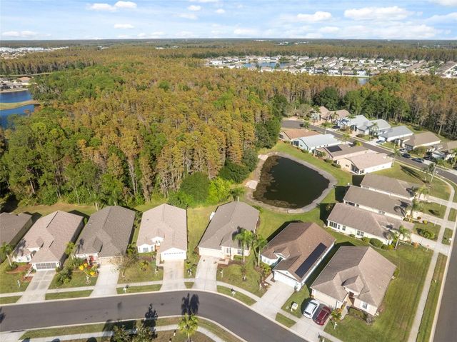 1201 DUSTAN PLACE, Trinity, FL 34655