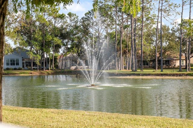 1201 DUSTAN PLACE, Trinity, FL 34655