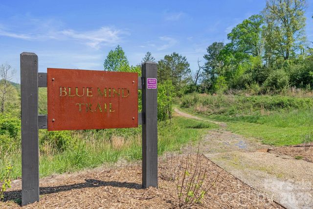 13 Tulip Poplar Trail, Asheville, NC 28804