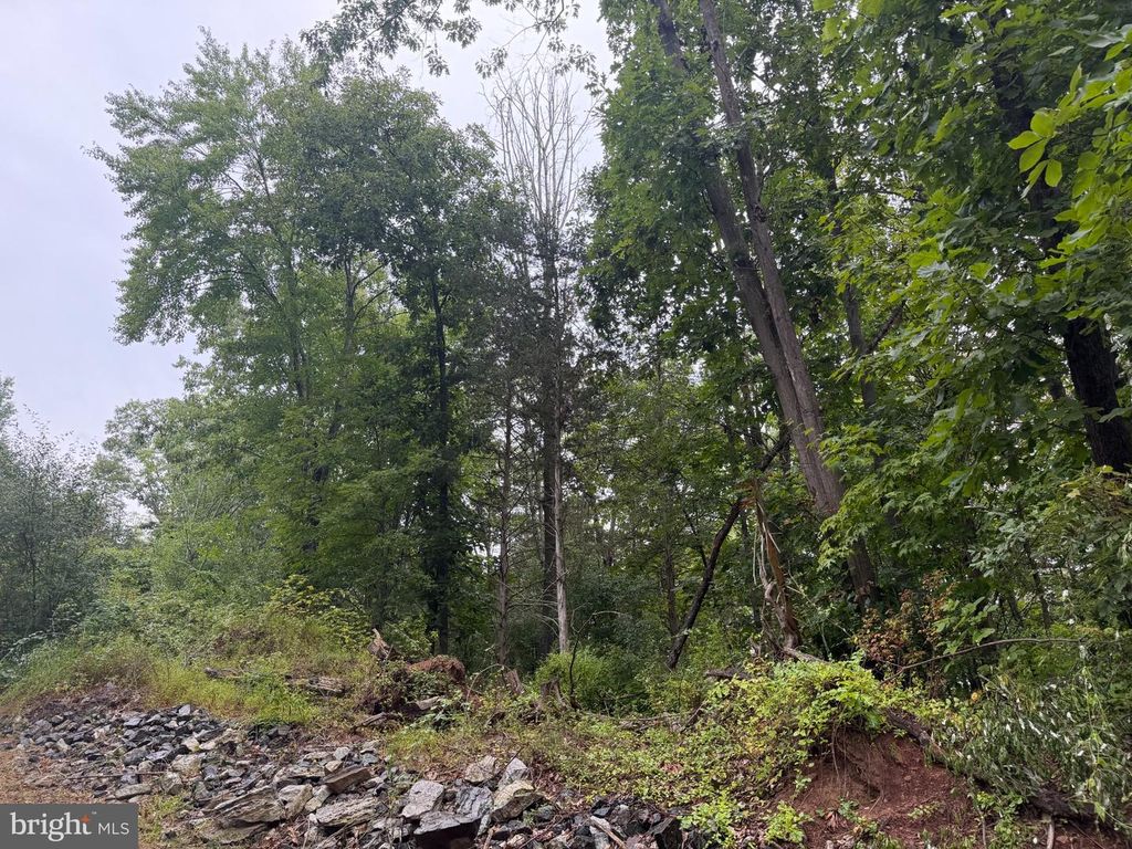 00 HILL RD, PALM, PA 18070 — photo 2