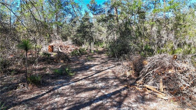 6646 N Percale Terrace, Dunnellon, FL 34433