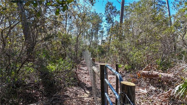 6646 N Percale Terrace, Dunnellon, FL 34433