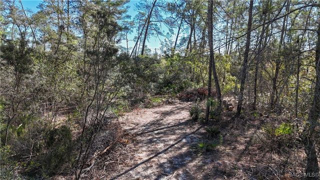 6646 N Percale Terrace, Dunnellon, FL 34433